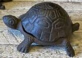 sköldpadda järn